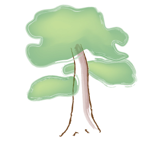 pruning bonsai